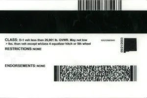 Order New Mexico fake ID - fast delivery and best price guaranteed