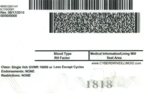 Order Illinois fake ID - fast delivery and best price guaranteed