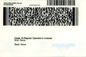 Order Mississippi fake ID - fast delivery and best price guaranteed