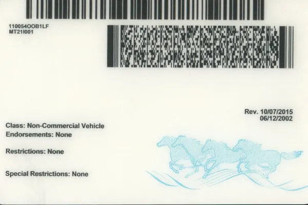 Order Montana fake ID - fast delivery and best price guaranteed