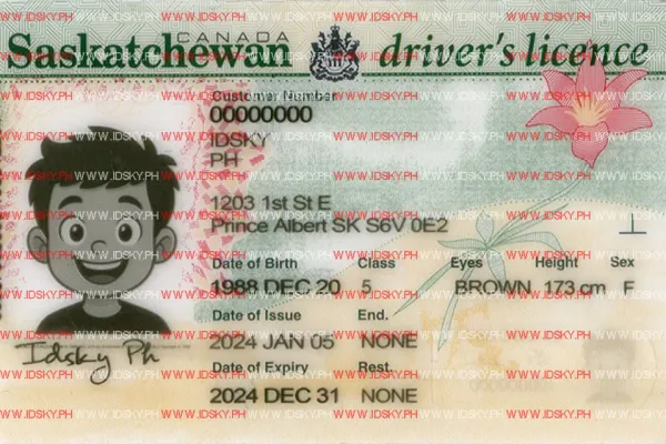 Order Saskatchewan-SK fake ID - fast delivery and best price guaranteed