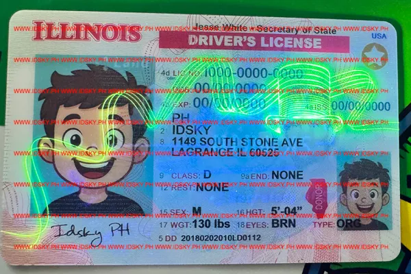 Order Illinois fake ID - fast delivery and best price guaranteed