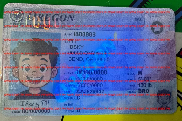 Order Oregon fake ID - fast delivery and best price guaranteed