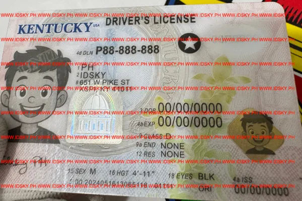Order Kentucky fake ID - fast delivery and best price guaranteed