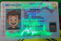 Order Nevada fake ID - fast delivery and best price guaranteed