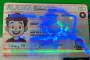 Order Alaska fake ID - fast delivery and best price guaranteed