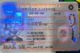 Order New York fake ID - fast delivery and best price guaranteed