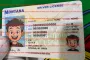 Order Montana fake ID - fast delivery and best price guaranteed
