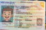 Order Nevada fake ID - fast delivery and best price guaranteed