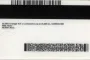 Order Minnesota fake ID - fast delivery and best price guaranteed