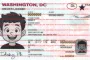 Order Washington-DC fake ID - fast delivery and best price guaranteed