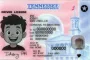 Thumbnail 2 for Tennessee