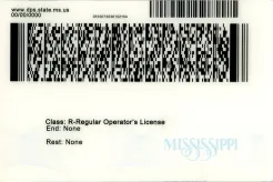 Thumbnail 1 for Mississippi