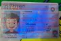 Order Oregon fake ID - fast delivery and best price guaranteed