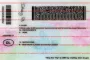 Order Washington-DC(NEW) fake ID - fast delivery and best price guaranteed