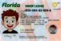 Thumbnail 2 for Florida