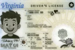 Virginia